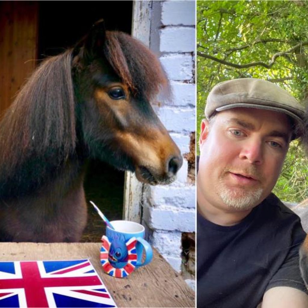 JOBSWORTH council bosses have banned a beer-loving Shetland Pony from his local pub, his owners claim