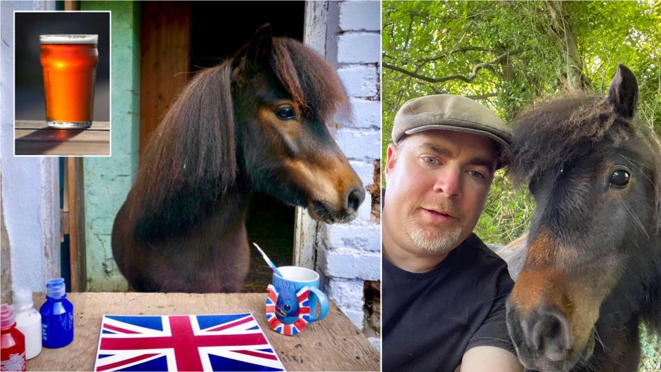 JOBSWORTH council bosses have banned a beer-loving Shetland Pony from his local pub, his owners claim