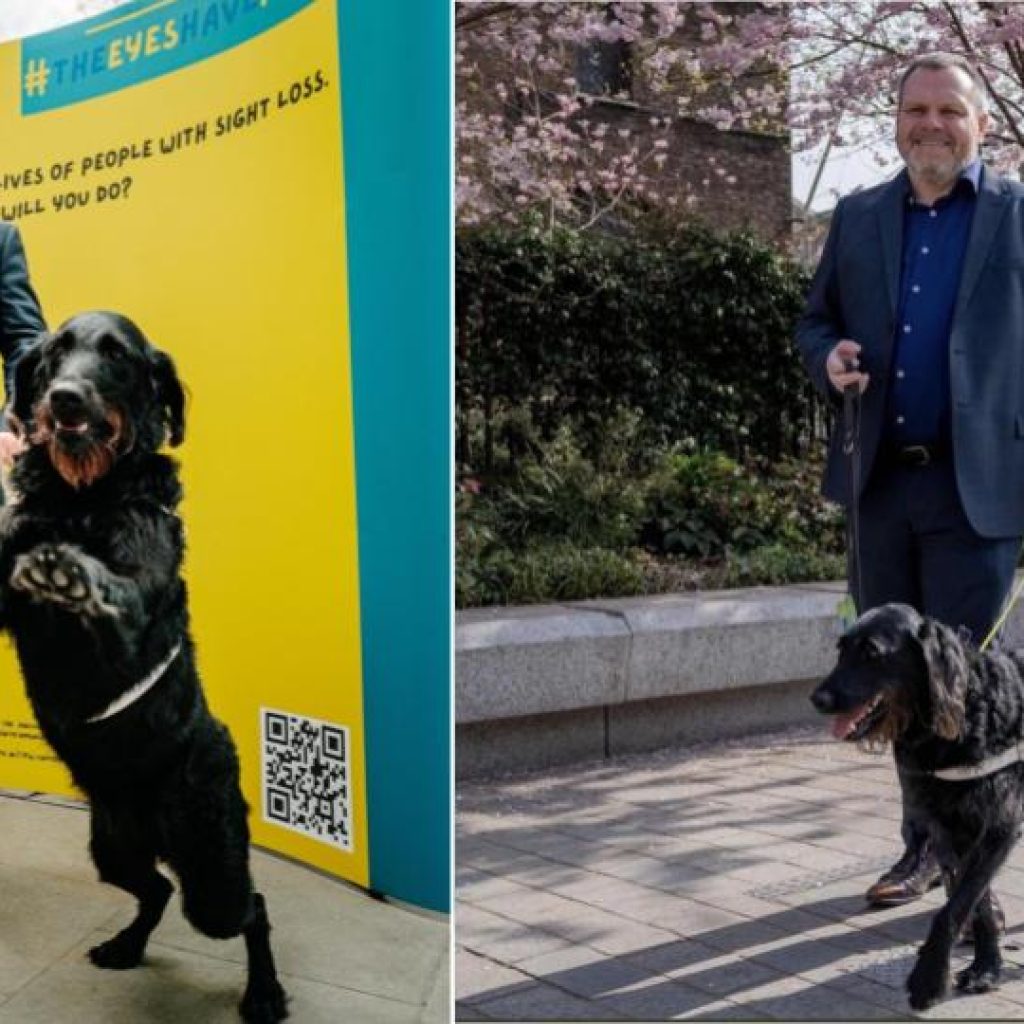 Sainsbury’s manager tries to kick blind man with guide dog out of store