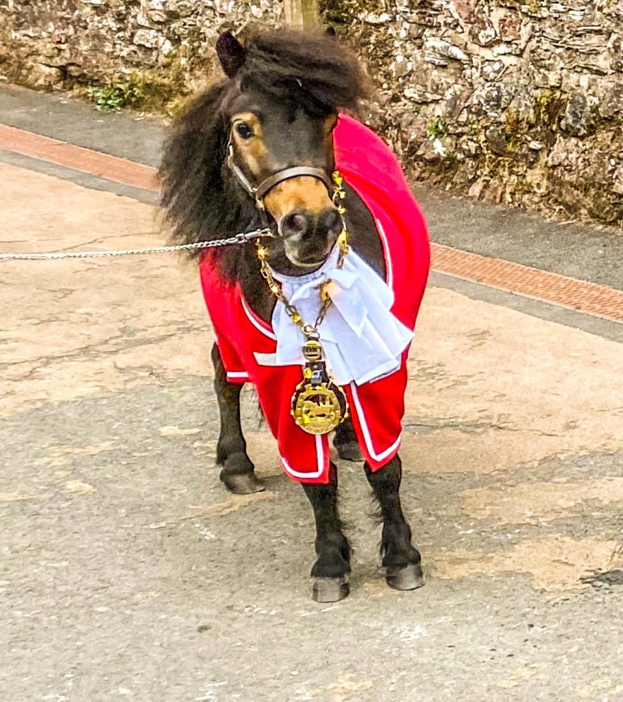 JOBSWORTH council bosses have banned a beer-loving Shetland Pony from his local pub, his owners claim.