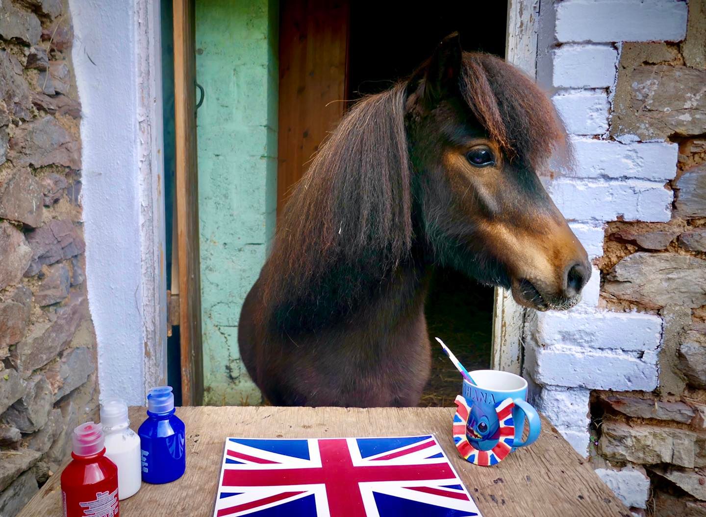 JOBSWORTH council bosses have banned a beer-loving Shetland Pony from his local pub, his owners claim.