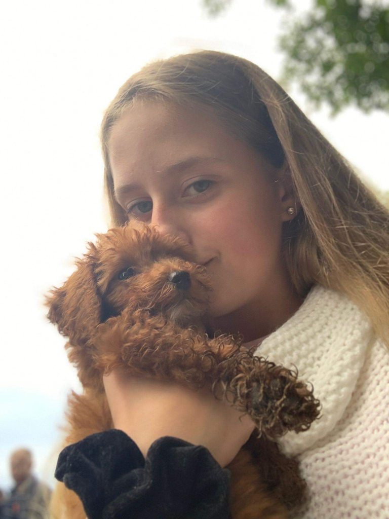 12 yr old girl offers pocket money to thieves who stole her dog